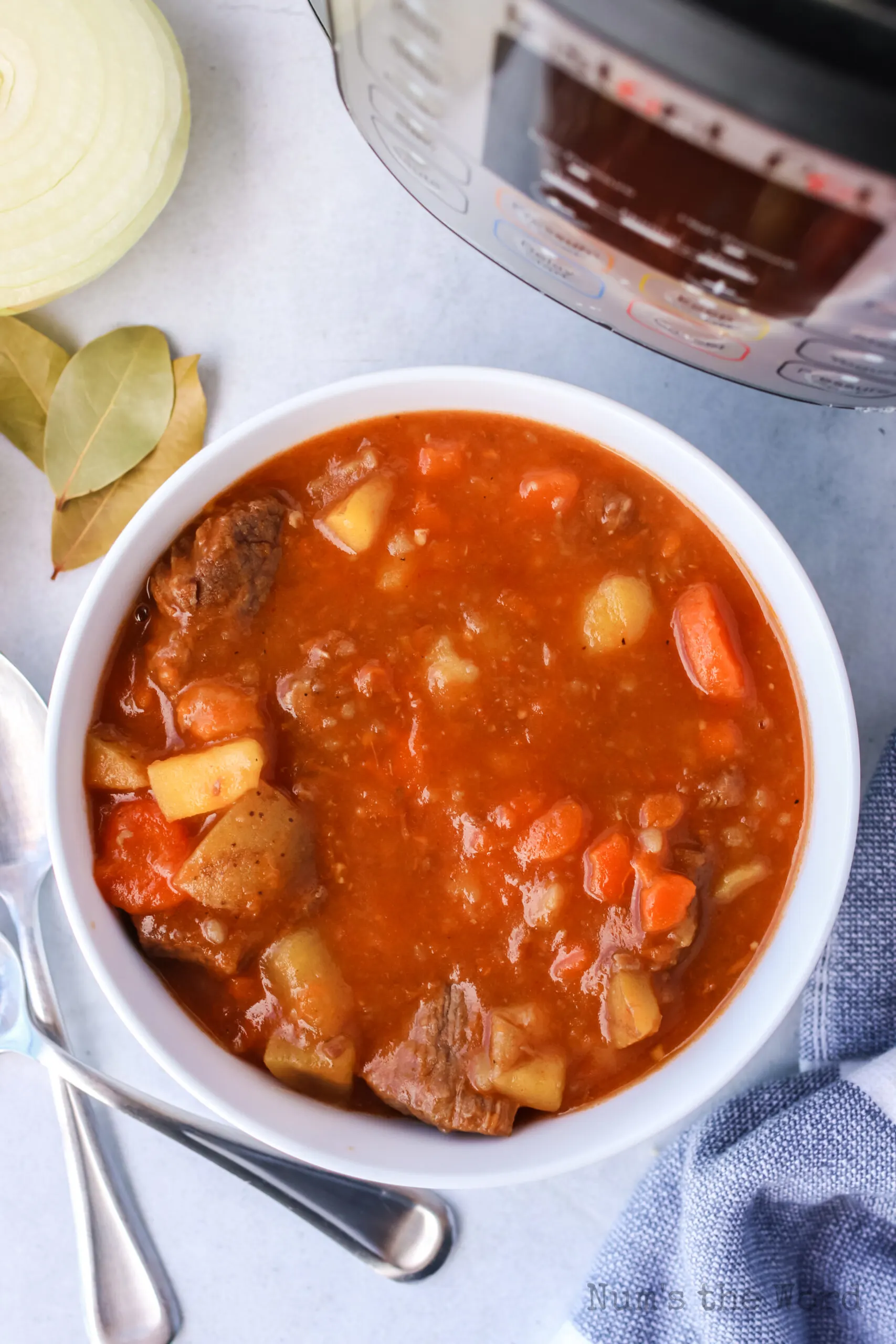 top view looking down at single bowl of beef stew.