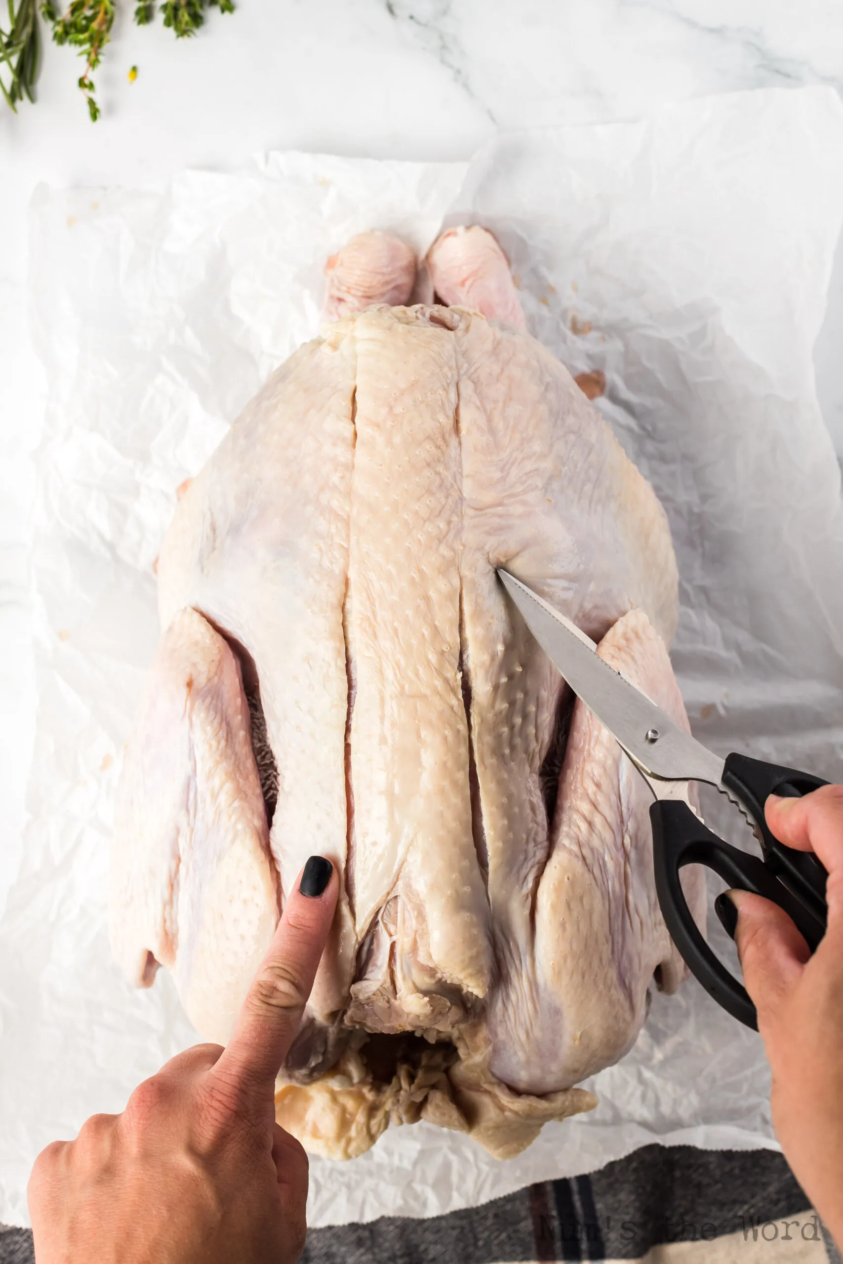 Showing where to cut the back bone out of a turkey