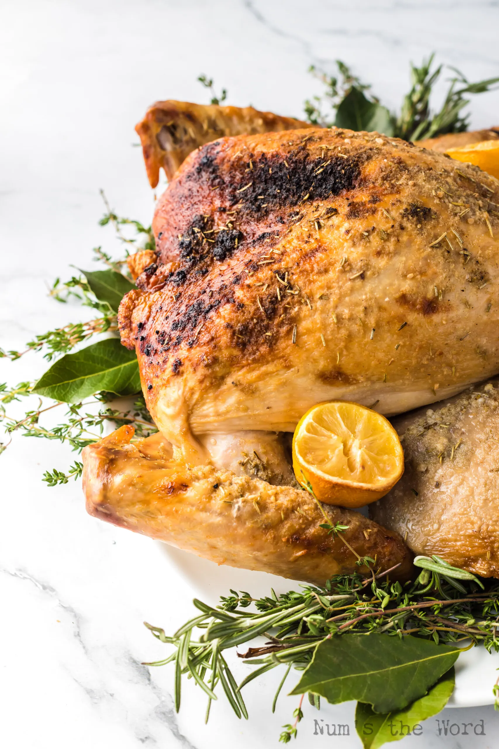 Baked Spatchcocked Turkey laid out on platter with herb greens