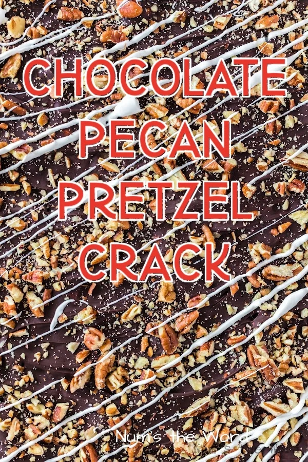 Main image for Chocolate Pecan Pretzel Crack