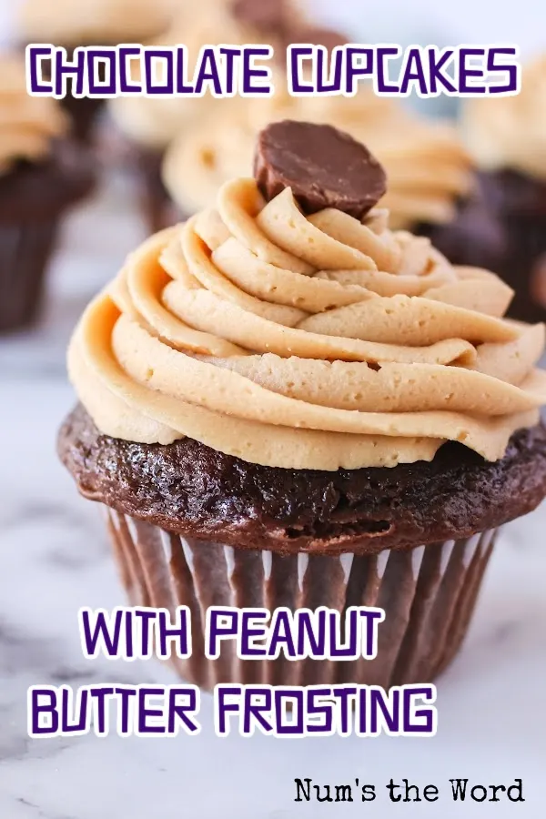 Main image of chocolate cupcakes with peanut butter frosting