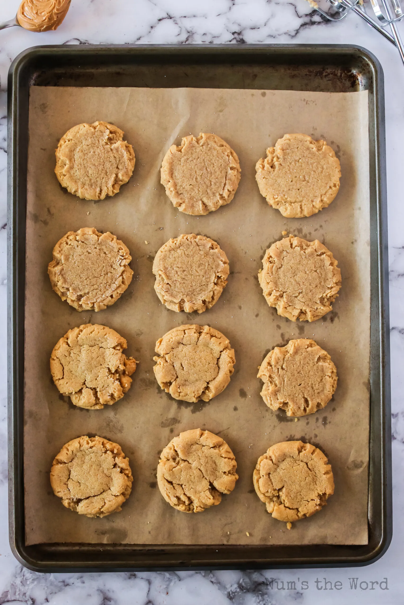 Baked cookies on cookie sheet