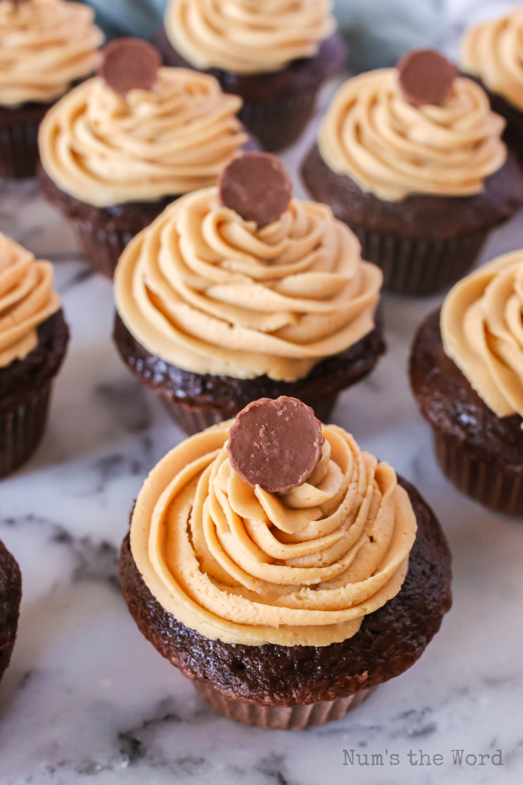 A mini peanut butter cup placed on top of each frosted cupcake
