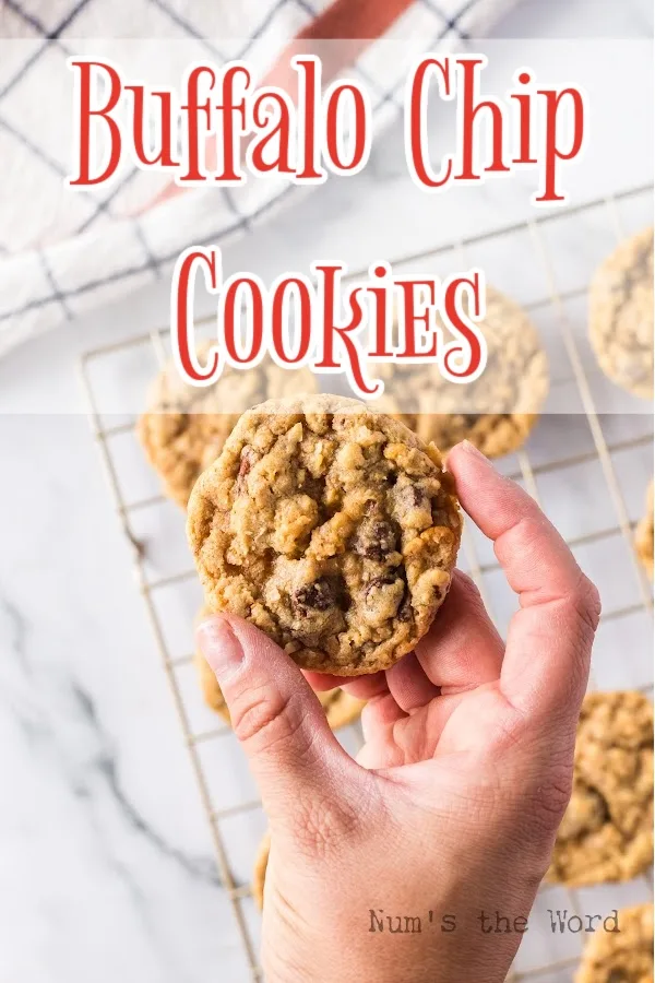 Main image for Buffalo Chip Cookies