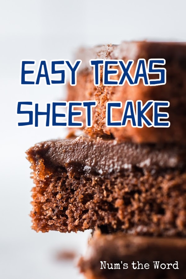 Main image for Easy Texas Sheet Cake