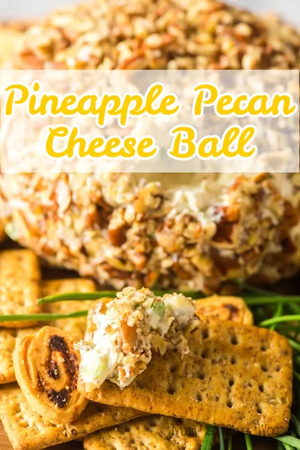 Main image for Pineapple Pecan Cheese Ball