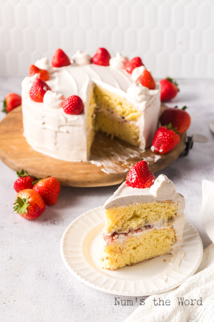 Slice of cake on a plate with remaining cake behind.