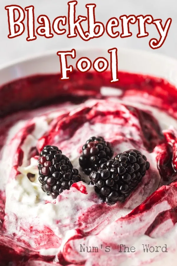 Main image for Blackberry Fool