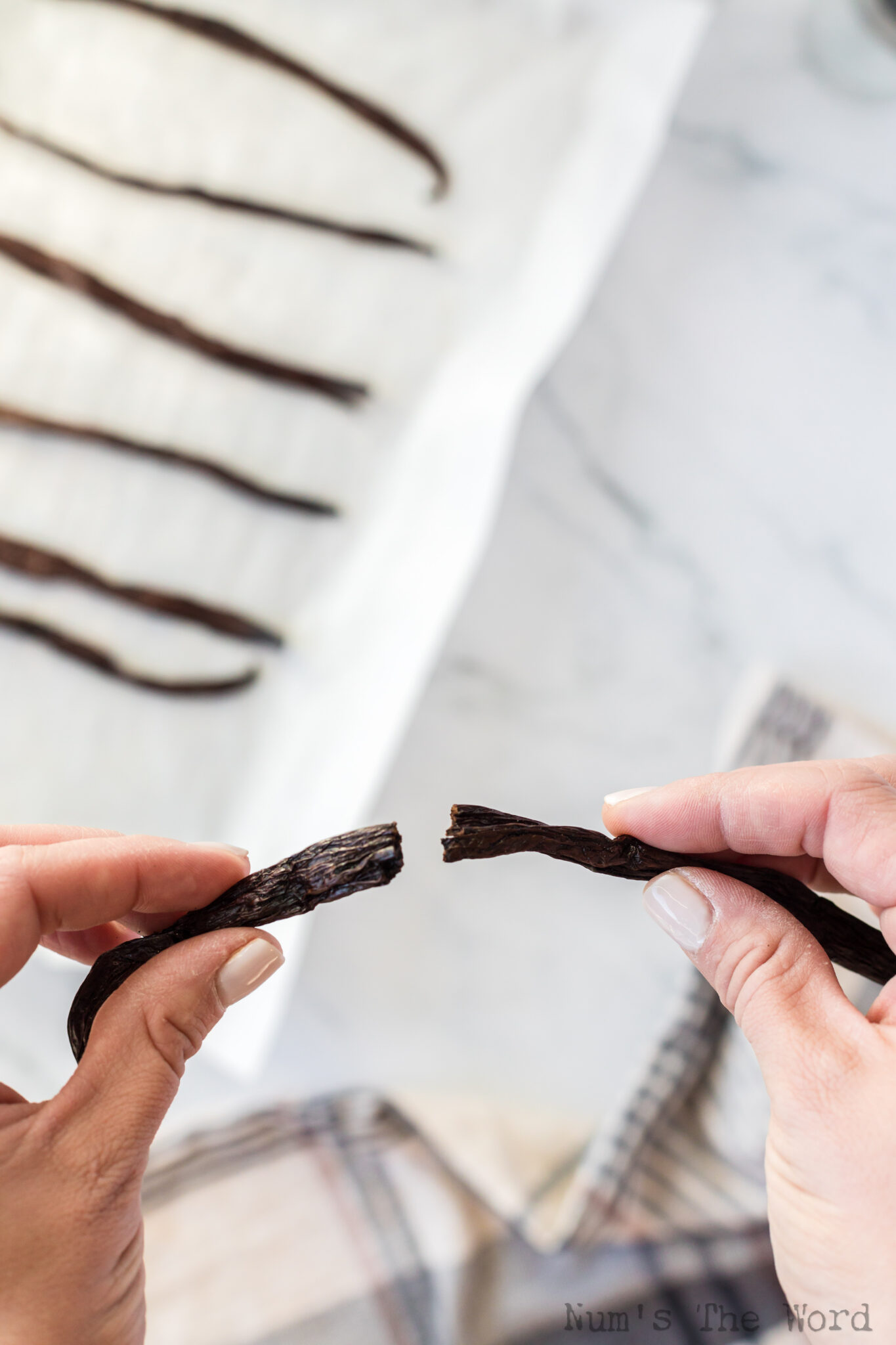 Ground Vanilla Bean Powder Num's the Word