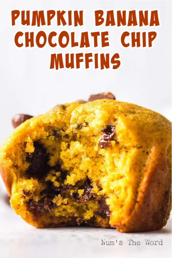Main image for Pumpkin Banana Chocolate Chip Muffins