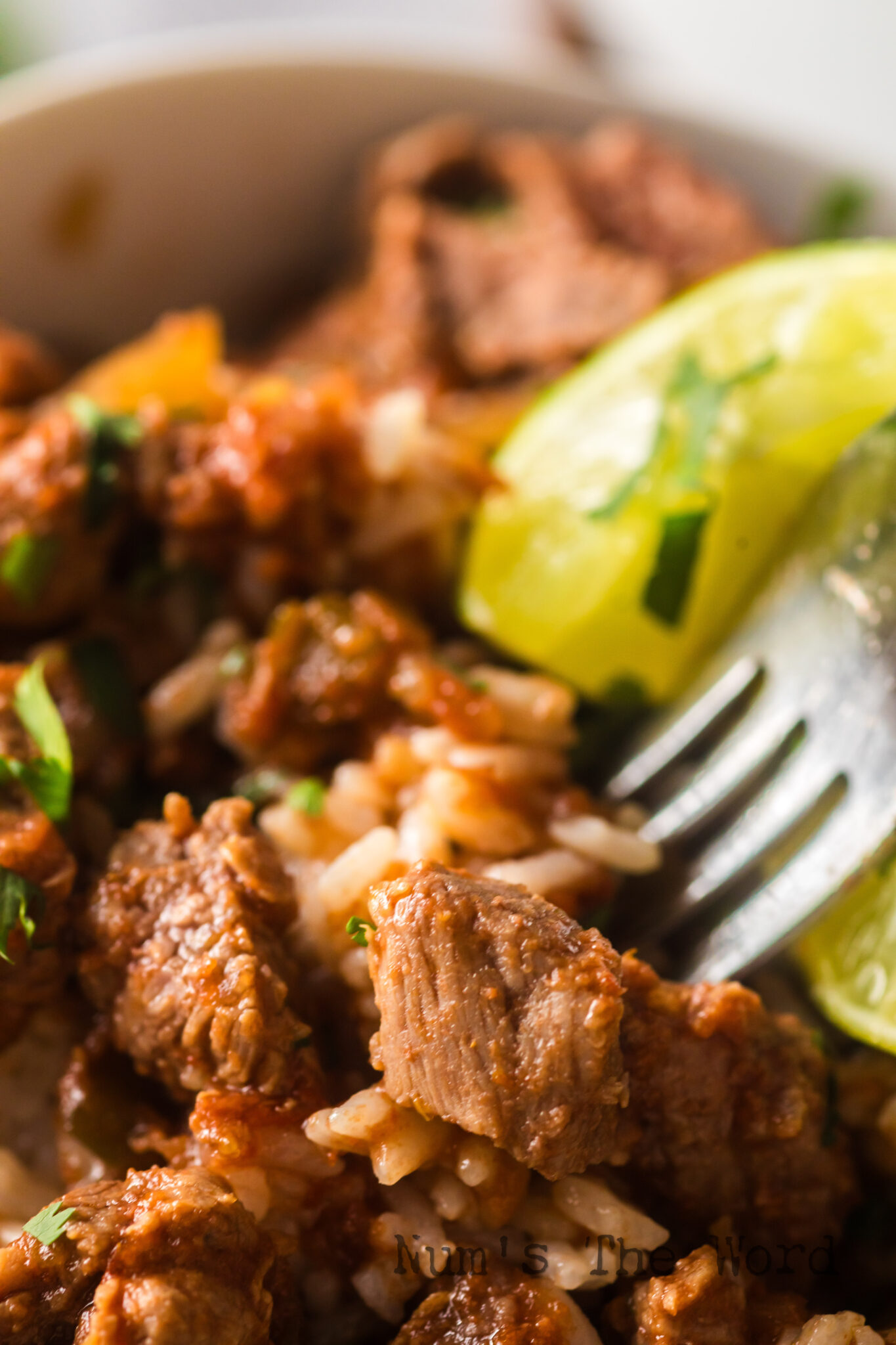 Crock Pot Salsa Beef - Num's the Word