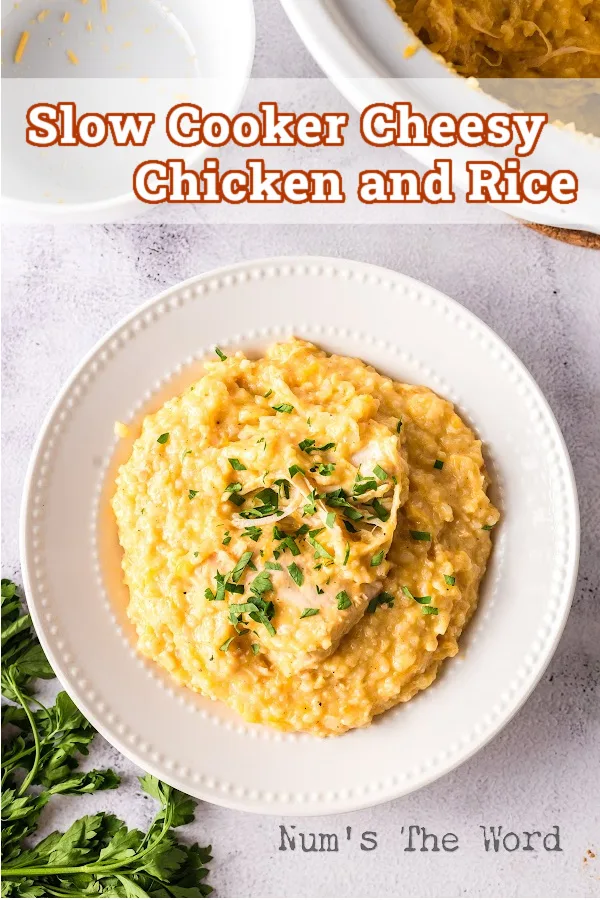 Main image for Slow Cooker Cheesy Chicken and Rice.