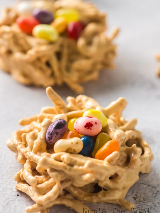 side view of two birds nest cookies.