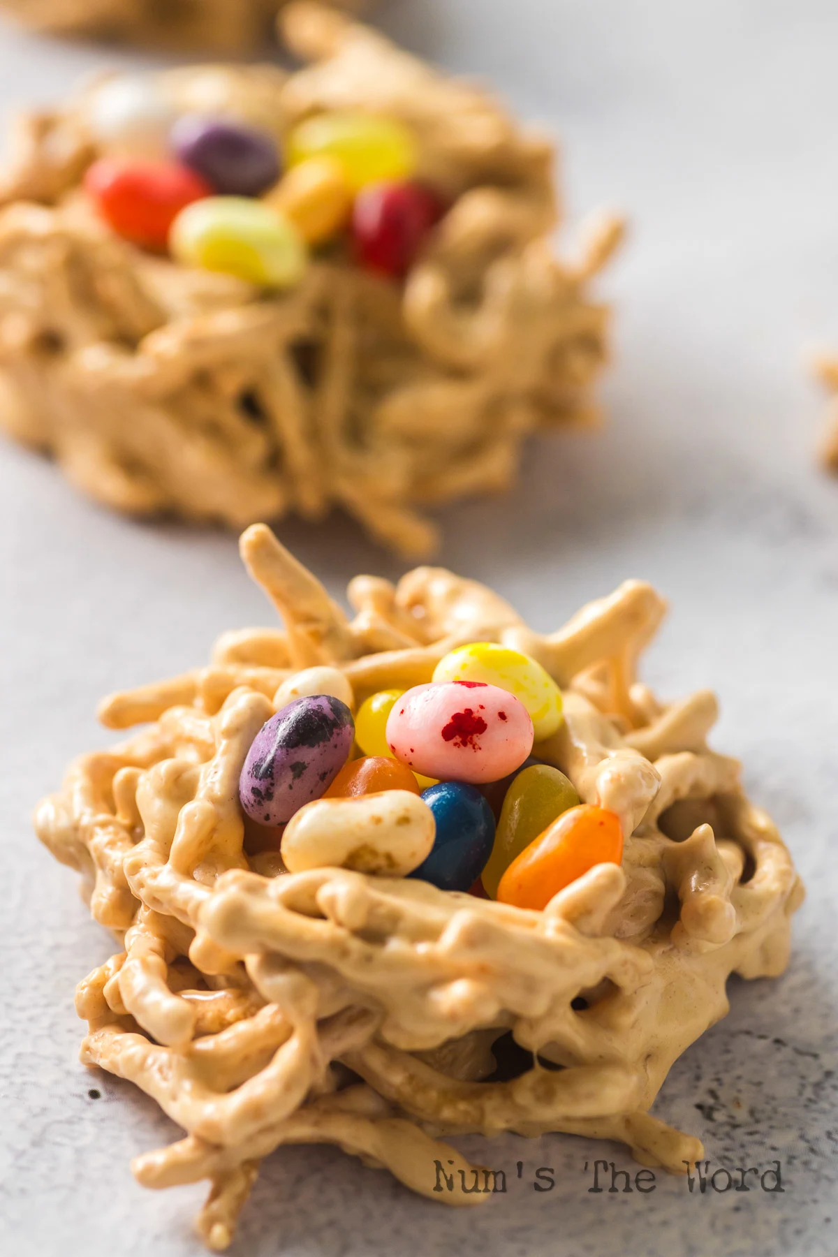 side view of two birds nest cookies.