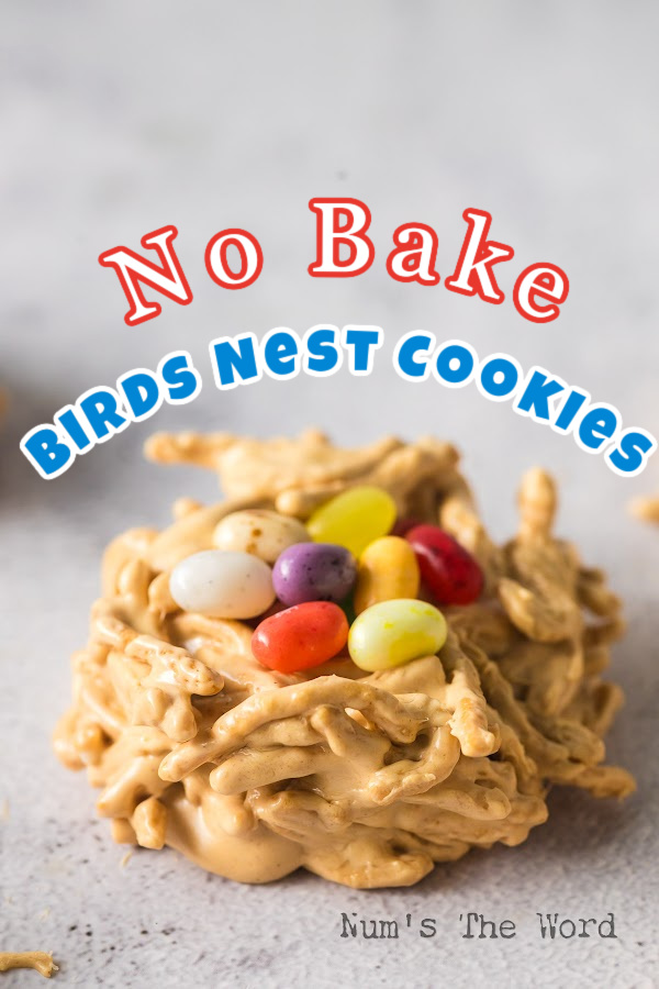 Main image for No Bake Birds Nest Cookies. Side view of birds nest filled with eggs.