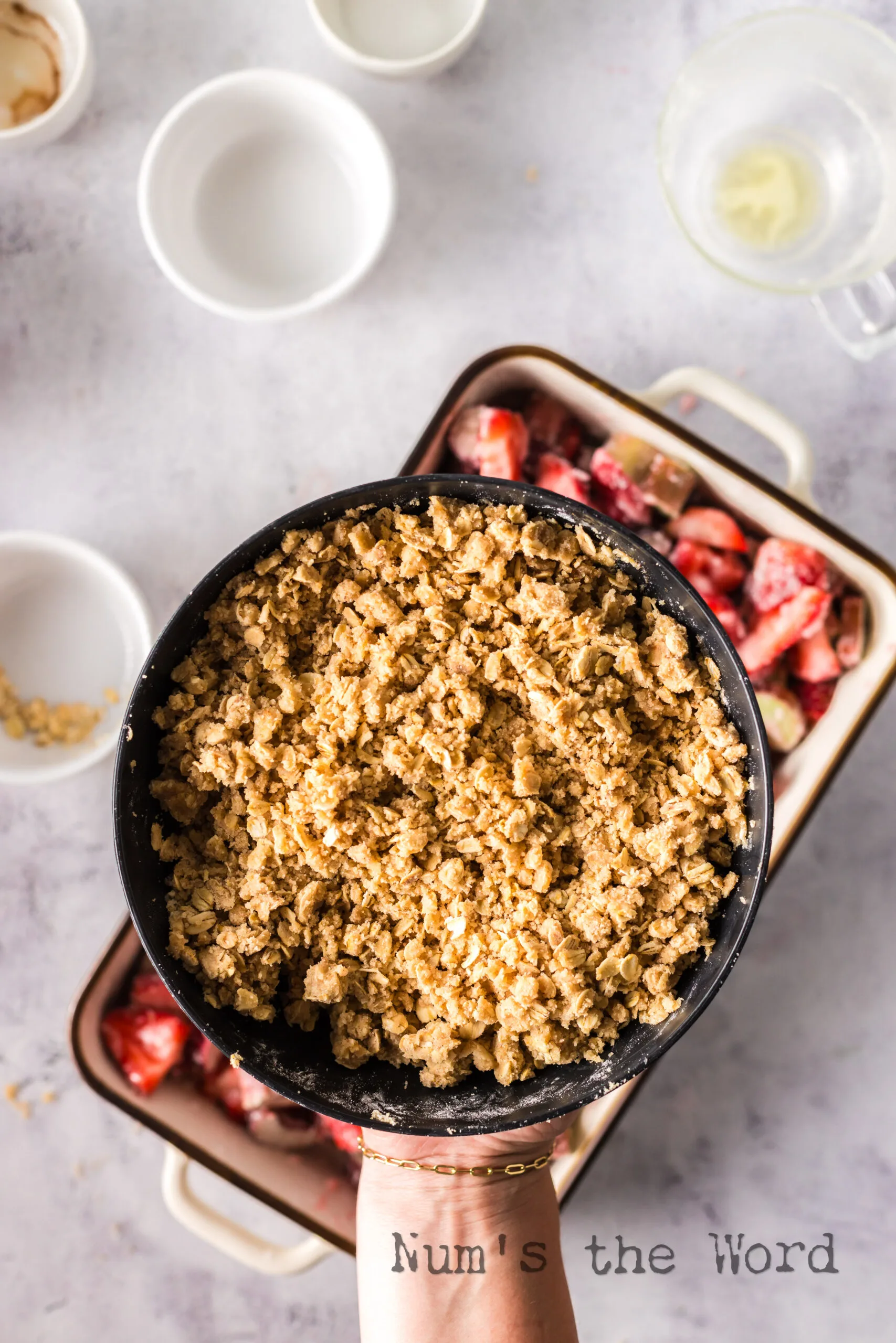 flour, rolled oats, sugar, brown sugar, cinnamon, salt and butter mixed to a crumble texture in bowl.