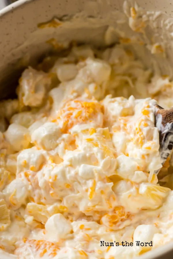 zoomed in image of fruit salad in bowl with wooden spoon.