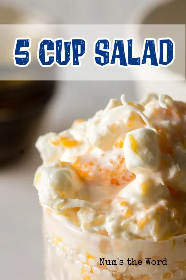 Main image for 5 Cup fruit salad of salad in a jar.