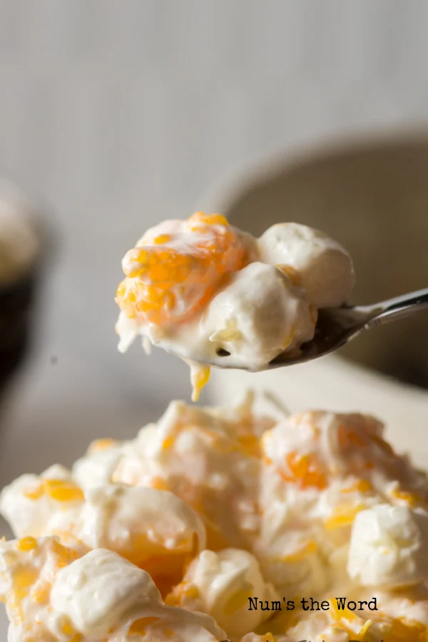 Metal spoon scooping some of the fruit salad from the bowl.