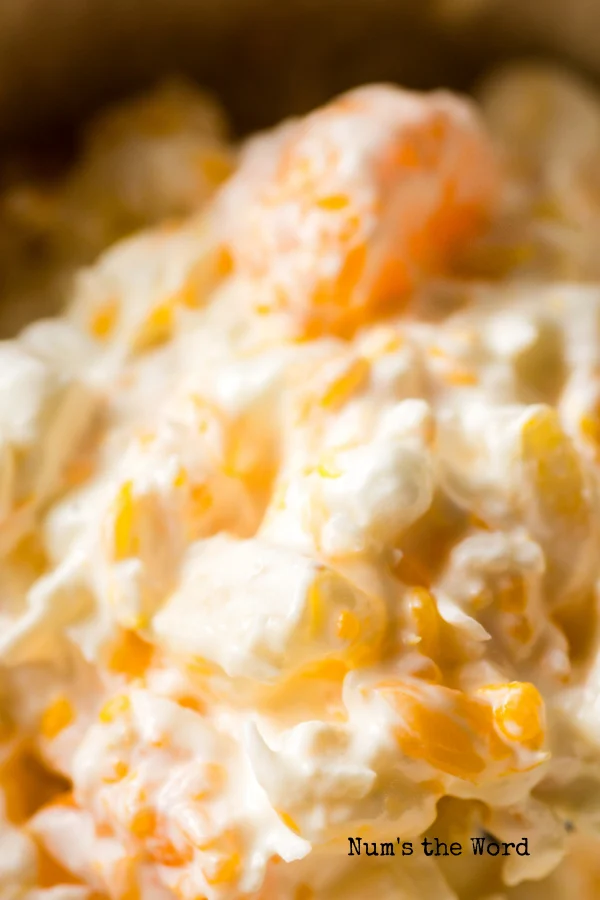 zoomed in image of fruit salad in bowl.