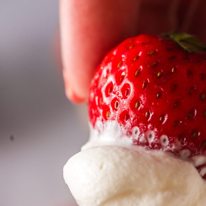 Whipped Cream Recipe