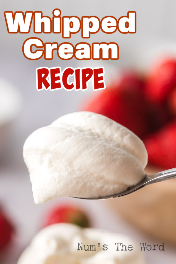 Main Image for whipped cream recipe. Image is of whipped cream on a spoon held up to camera.