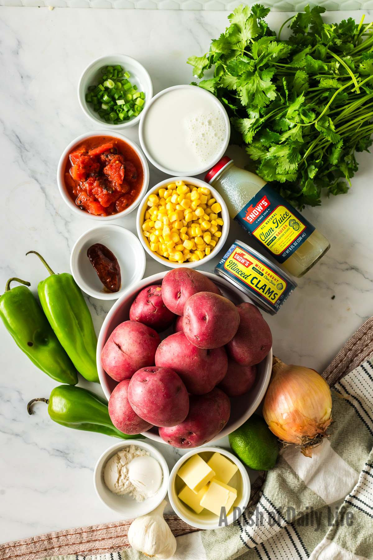 All ingredients laid out on the counter for soup.